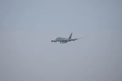 DSC_9585 (Large).JPG